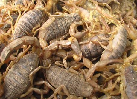 合肥小區開荒保潔要注意哪些事項呢？